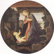 Sandro Botticelli, Madonna in Adoration of the Christ Child (mk36)